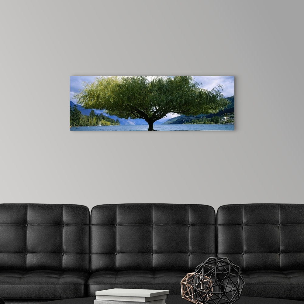 A modern room featuring Tree at the lakeside, Lake Wakatipu, Queenstown, Otago Region, South Island, New Zealand