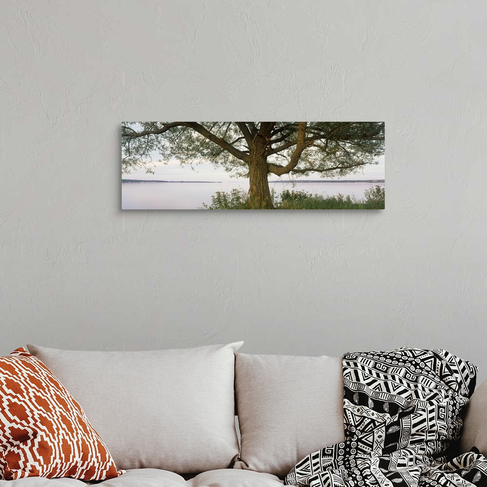 A bohemian room featuring Tree along lake, ??