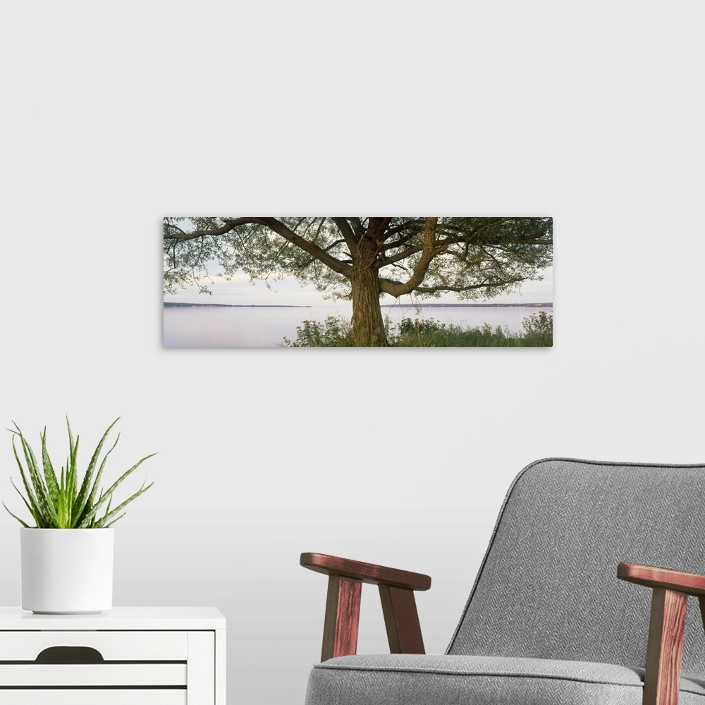 A modern room featuring Tree along lake, ??