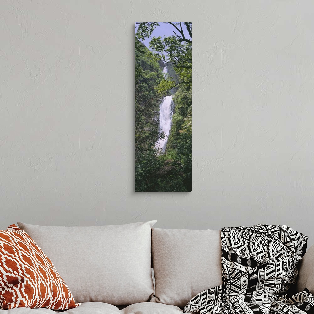 A bohemian room featuring Tree in front of a waterfall, Moaula Falls, Halawa Valley, Molokai, Hawaii