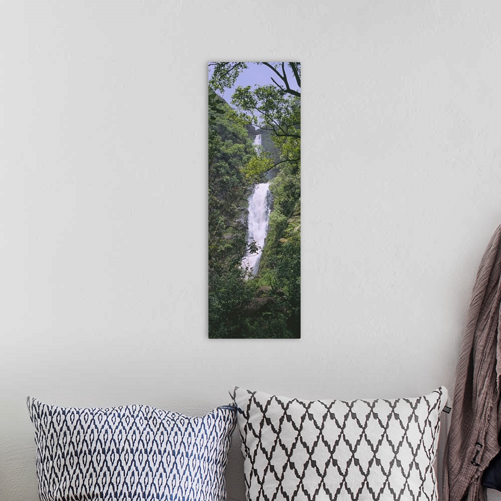 A bohemian room featuring Tree in front of a waterfall, Moaula Falls, Halawa Valley, Molokai, Hawaii