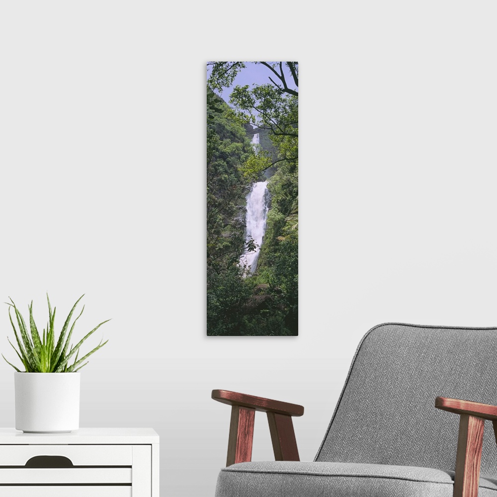 A modern room featuring Tree in front of a waterfall, Moaula Falls, Halawa Valley, Molokai, Hawaii