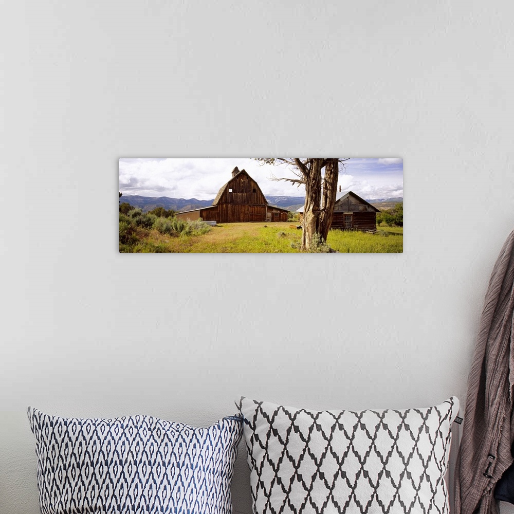 A bohemian room featuring Tree in front of barns, historical barn, Collbran, Colorado