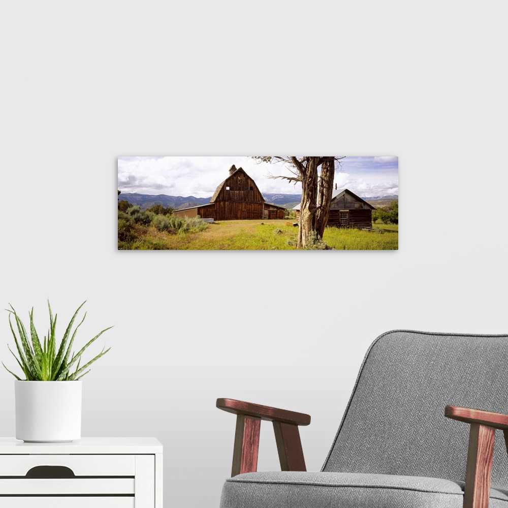 A modern room featuring Tree in front of barns, historical barn, Collbran, Colorado