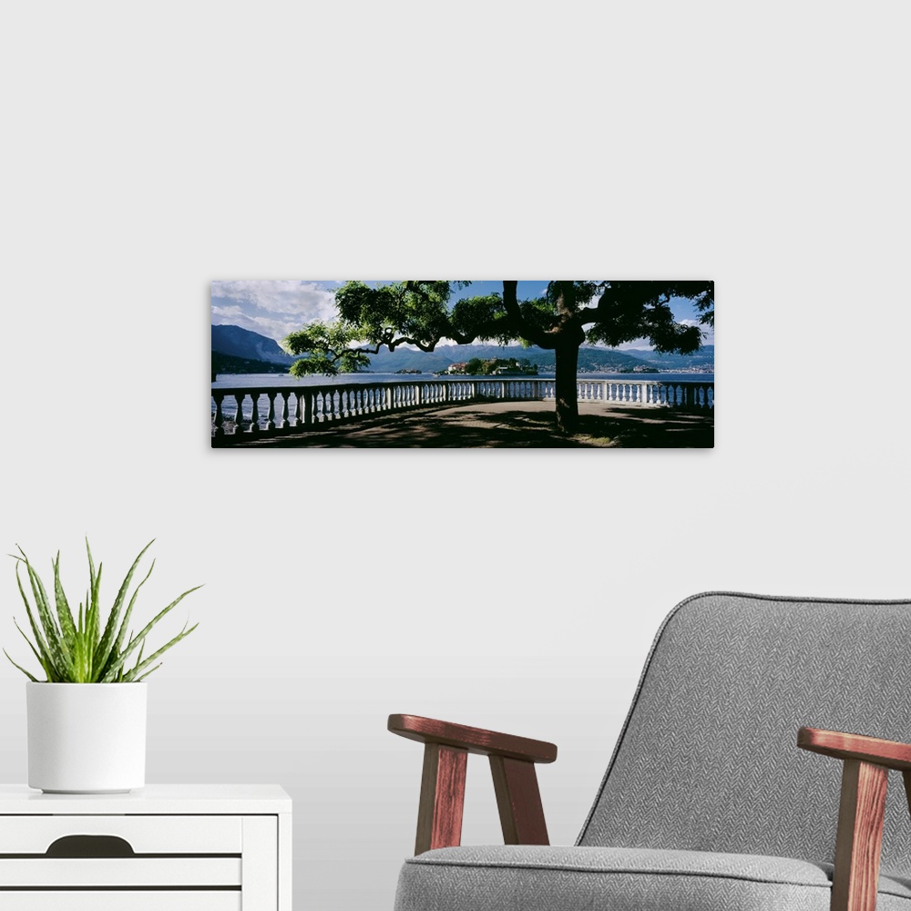 A modern room featuring Panoramic photo on canvas of a tree branching out over a view of a lake with rolling mountains in...