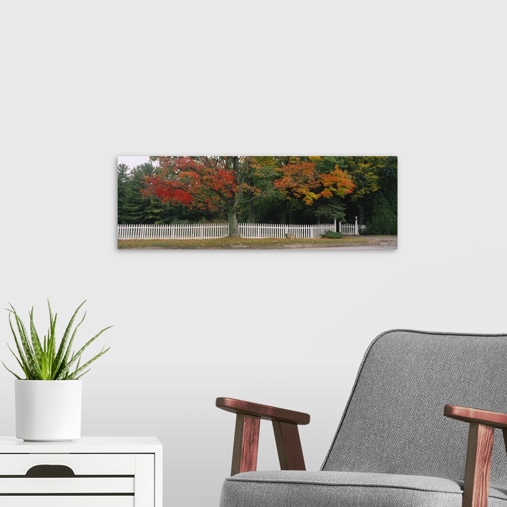 A modern room featuring Tree near a picket fence, Vermont