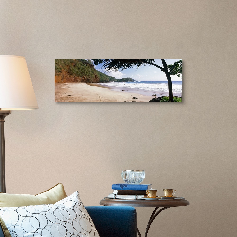 A traditional room featuring Panoramic photograph of shoreline surrounded by grassy hills on one side and palm trees on the ot...