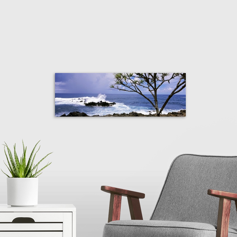 A modern room featuring Panoramic photograph of rocky shoreline with breaking waves and one tall tree under a cloudy sky.