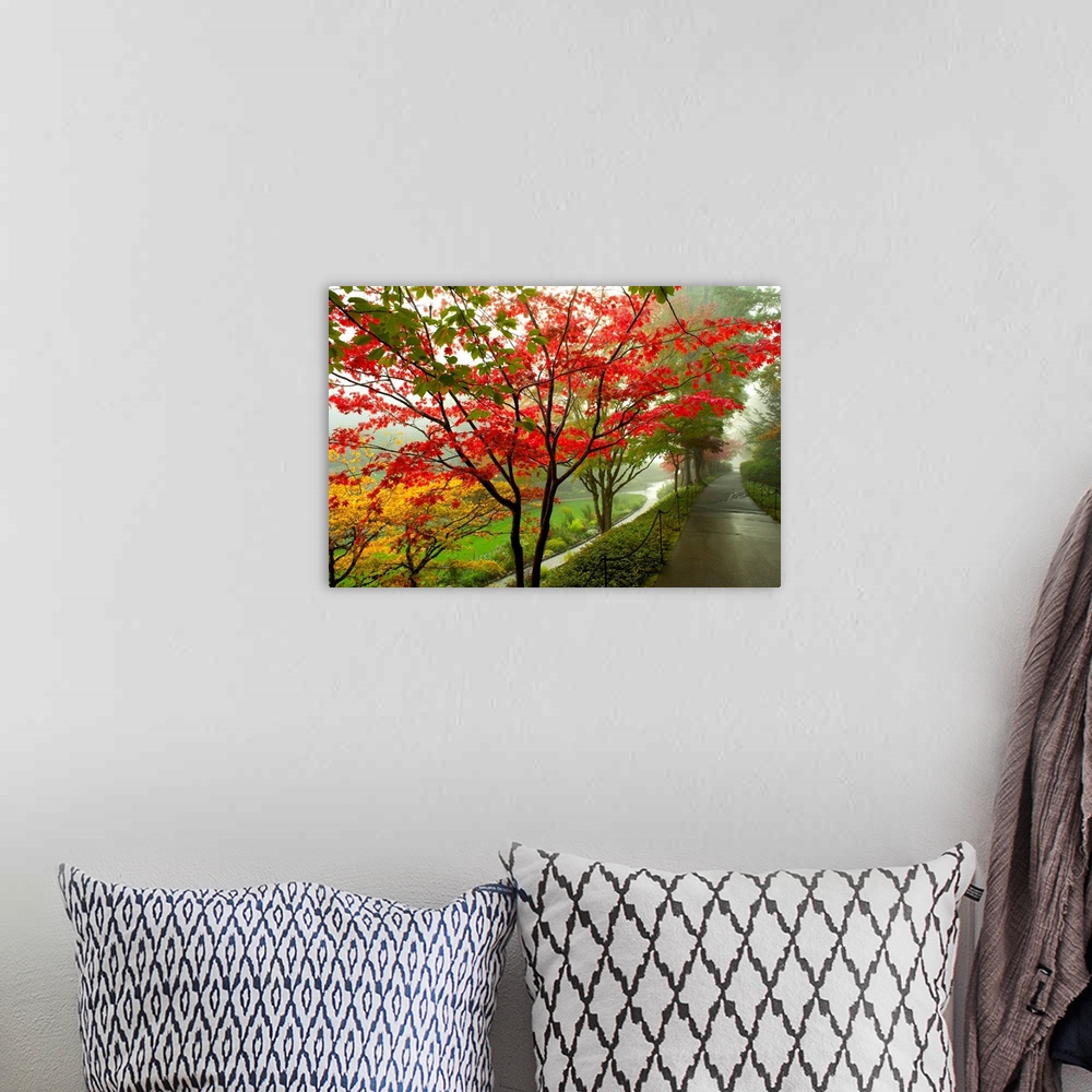 A bohemian room featuring Large landscape photograph of autumn colored trees alongside a path on Vancouver Island in Britis...