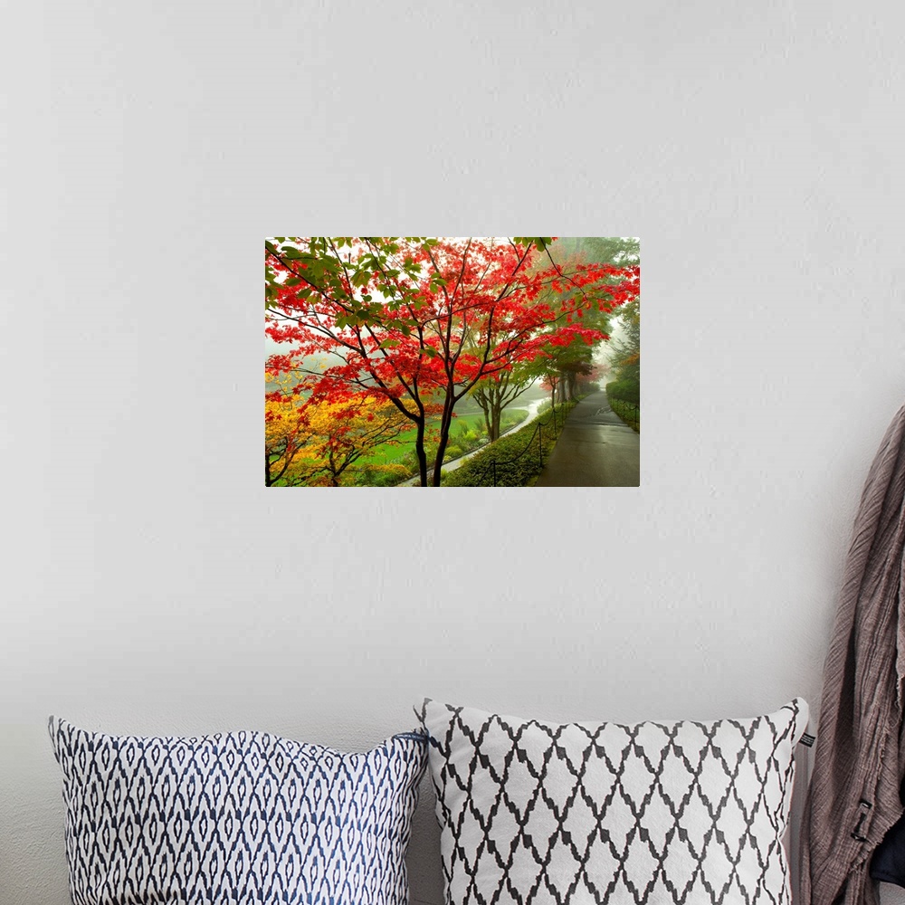 A bohemian room featuring Large landscape photograph of autumn colored trees alongside a path on Vancouver Island in Britis...