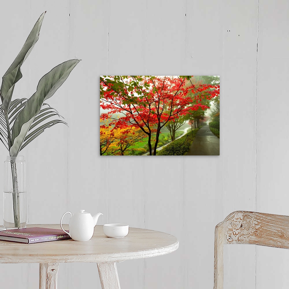 A farmhouse room featuring Large landscape photograph of autumn colored trees alongside a path on Vancouver Island in Britis...