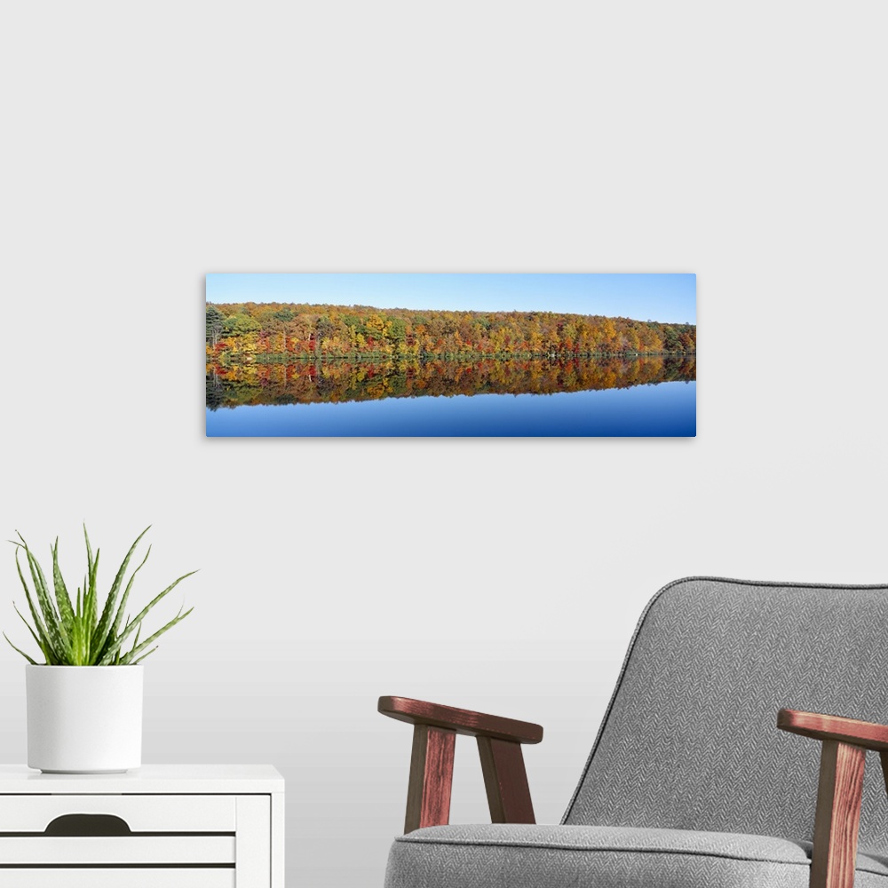 A modern room featuring Trees along a lake, Lake Hamilton, Massachusetts