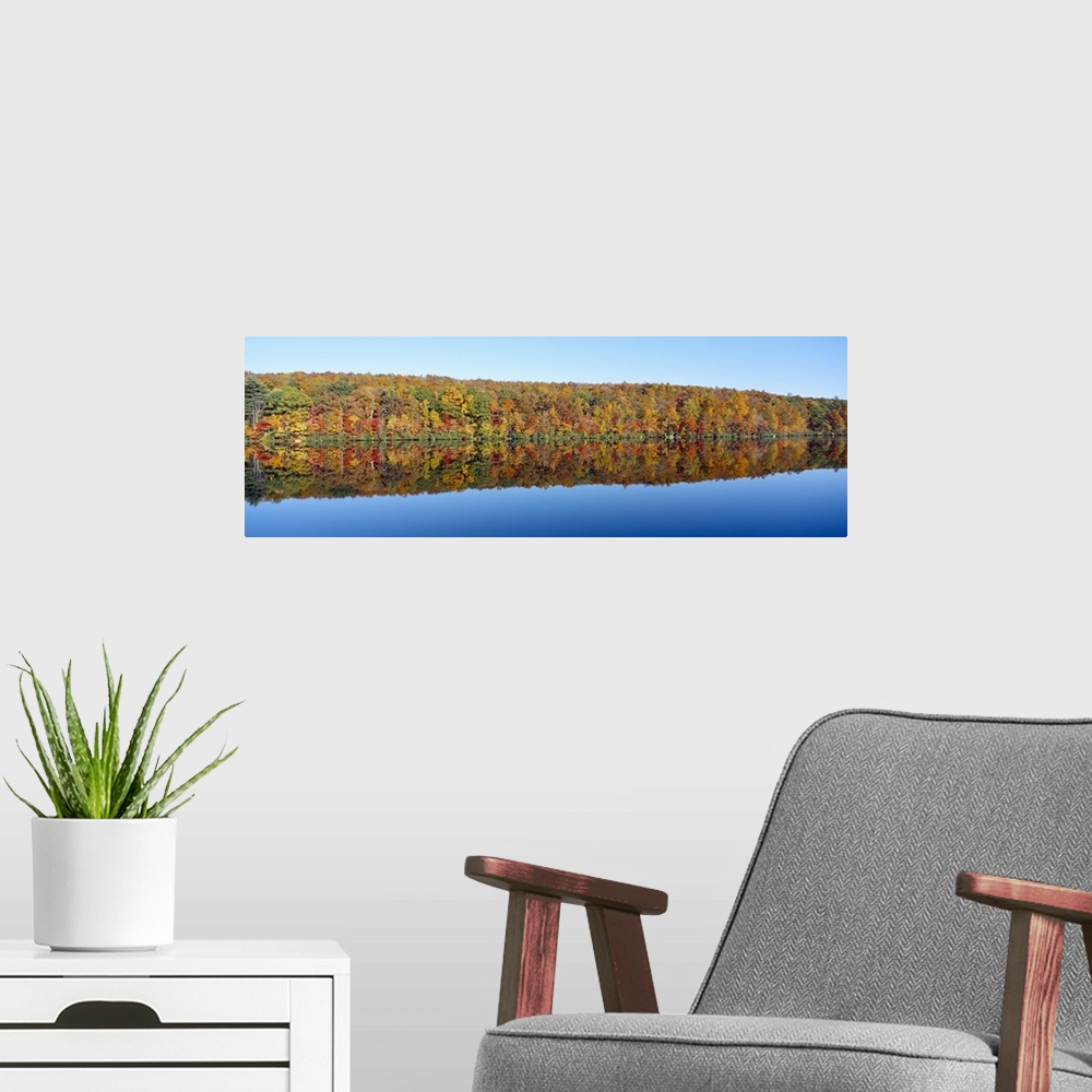 A modern room featuring Trees along a lake, Lake Hamilton, Massachusetts