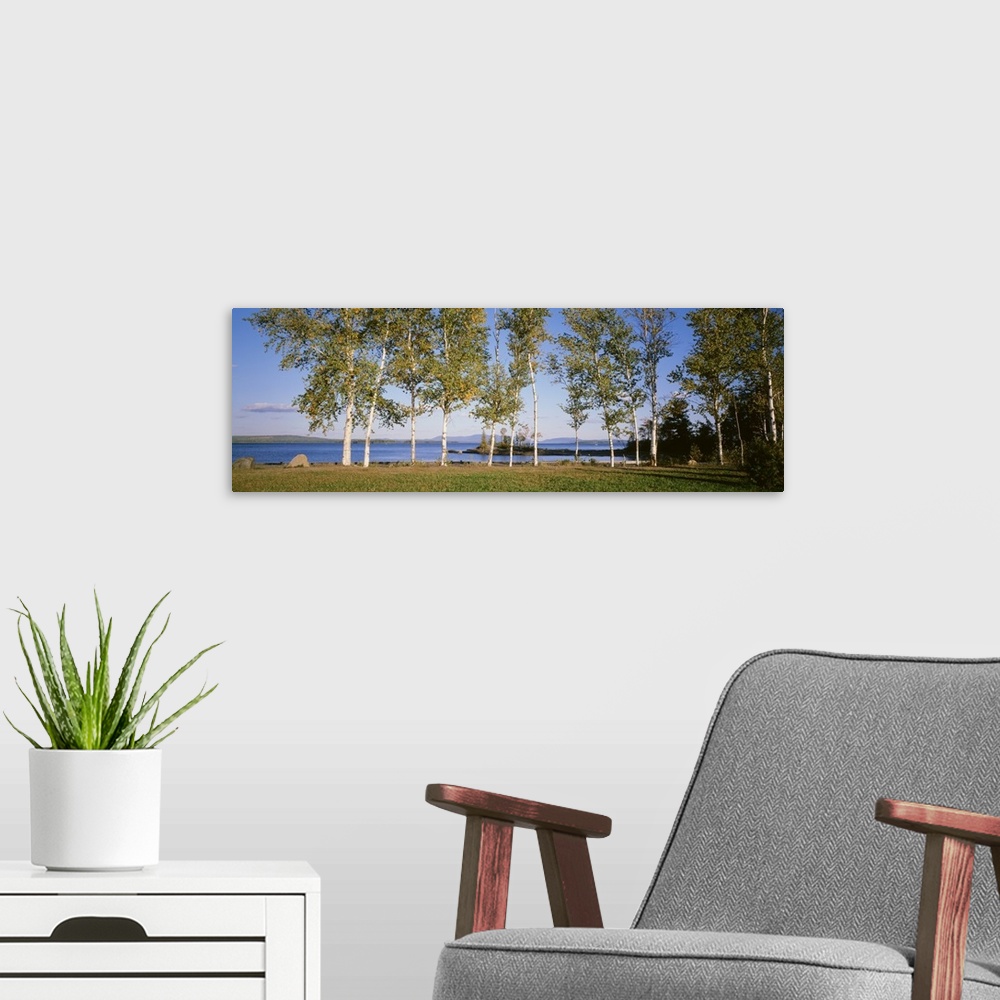 A modern room featuring Trees along a lake, Moosehead Lake, Maine