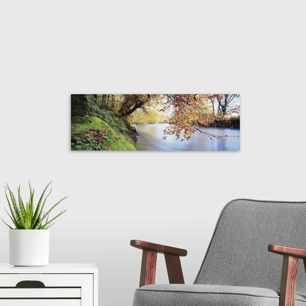 A modern room featuring Panoramic photograph displays a tree hanging over a calm waterway in the United Kingdom.  Surroun...