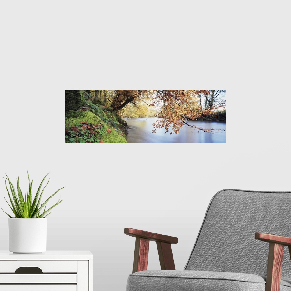 A modern room featuring Panoramic photograph displays a tree hanging over a calm waterway in the United Kingdom.  Surroun...