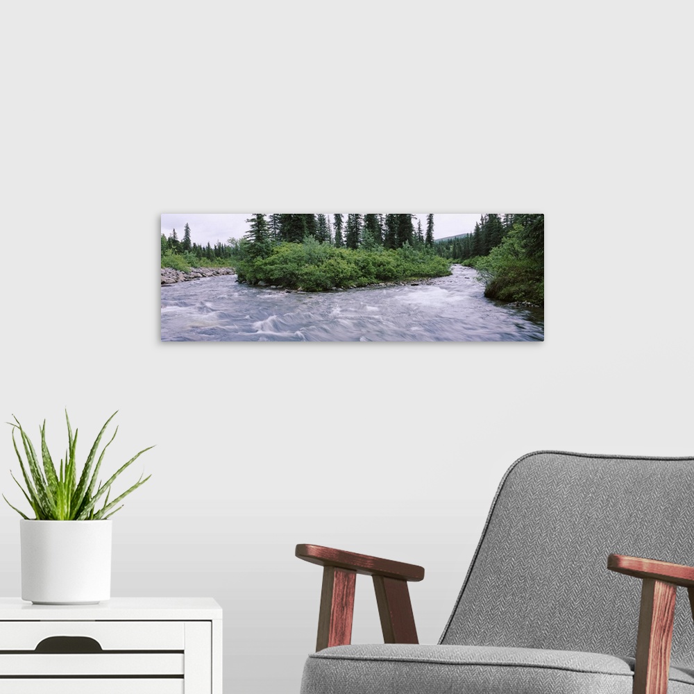 A modern room featuring Trees along a river, Willow Creek, Hatcher Pass Road, Alaska