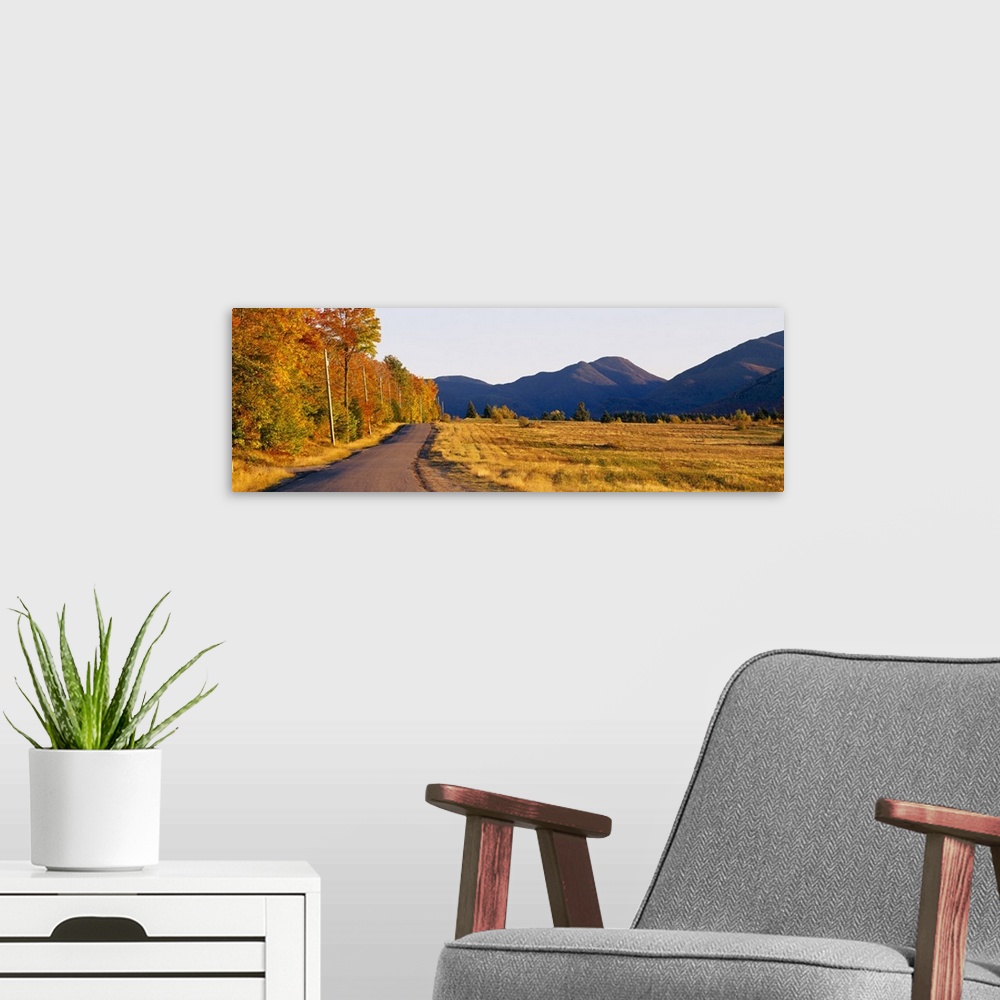 A modern room featuring Trees along a road, Lake Placid, Adirondack Mountains, New York State