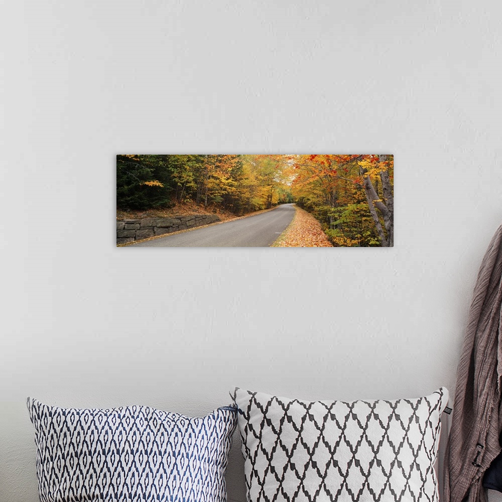 A bohemian room featuring Trees along a road, Park Loop Road, Acadia National Park, Maine
