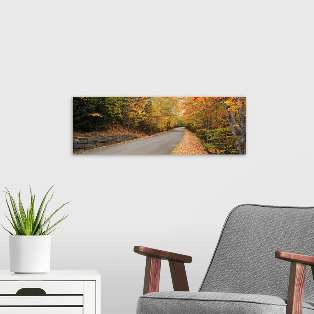 A modern room featuring Trees along a road, Park Loop Road, Acadia National Park, Maine