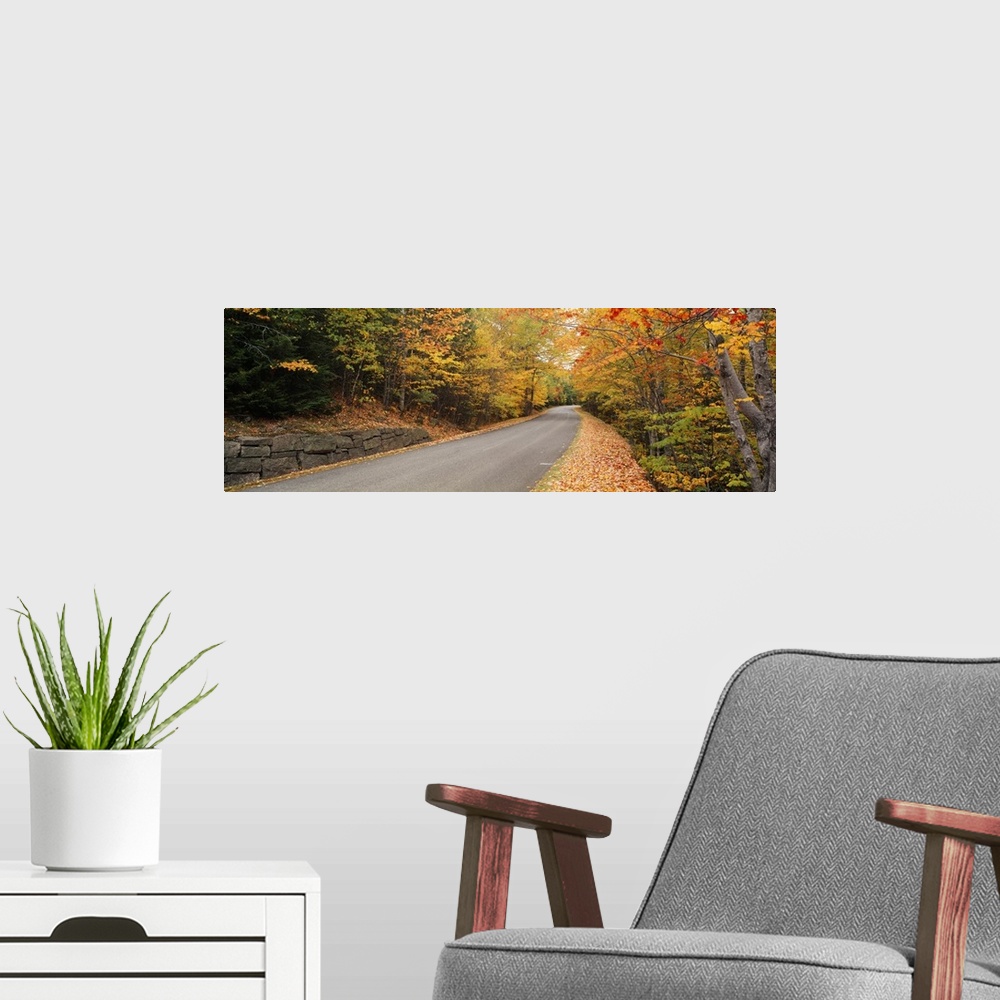 A modern room featuring Trees along a road, Park Loop Road, Acadia National Park, Maine