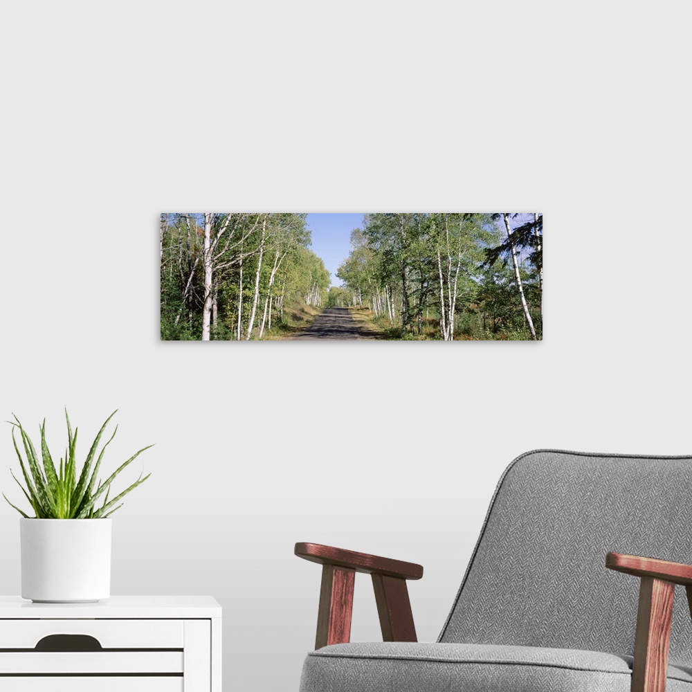 A modern room featuring Trees along a roadside, Brockway Mountain Drive, Keweenaw Peninsula, Copper Harbor, Michigan