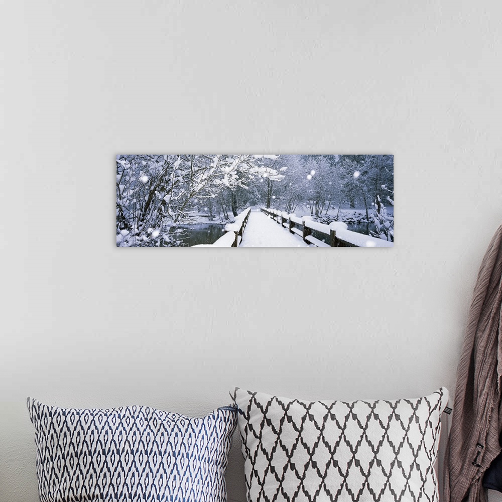 A bohemian room featuring Panoramic photograph of a wintry landscape of trees surrounding a snow covered footbridge as it c...