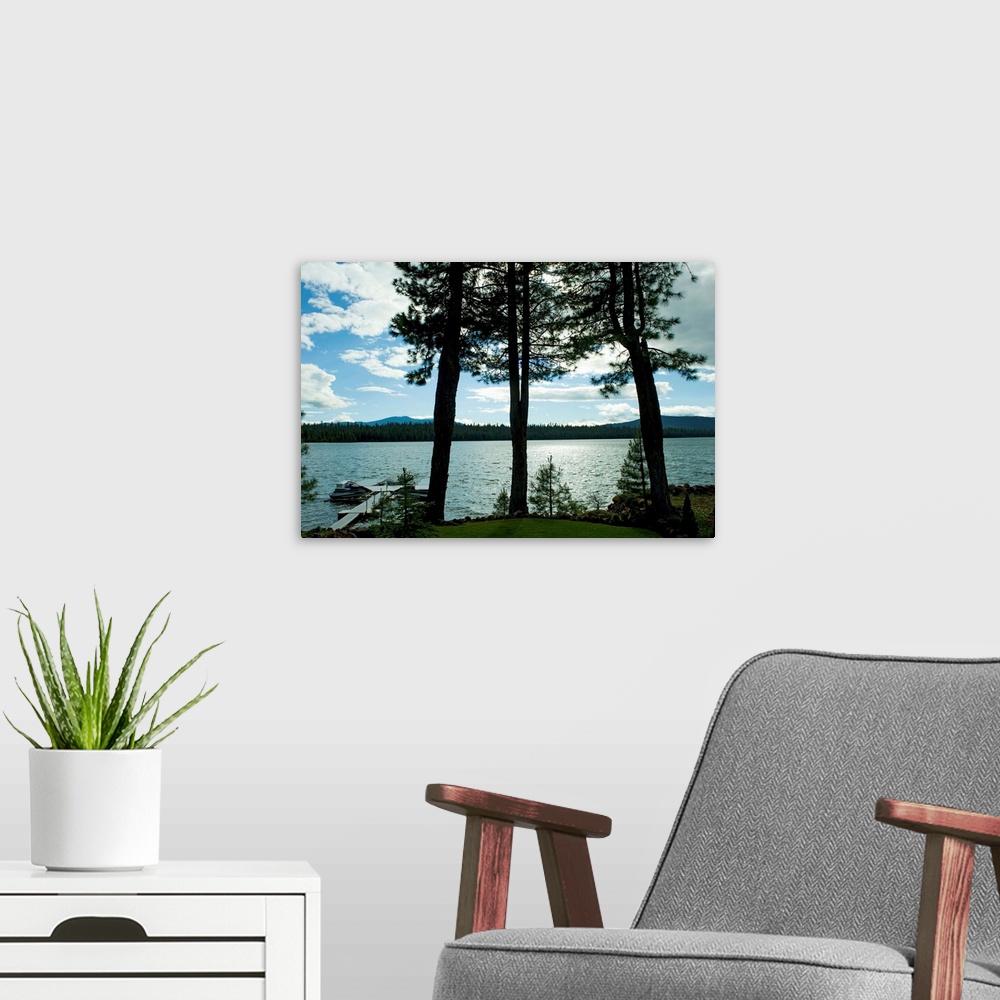 A modern room featuring Trees along shore with view of Mt Lassen, Lake Almanor, California
