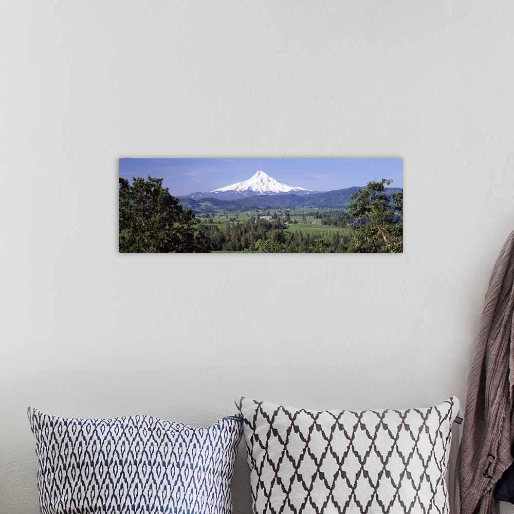 A bohemian room featuring Trees and farms with a snowcapped mountain in the background, Mt Hood, Oregon,