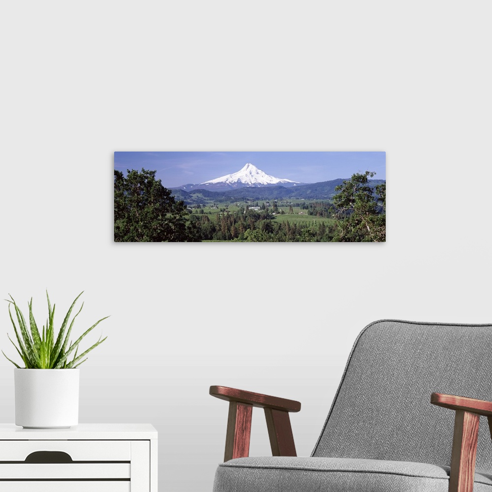 A modern room featuring Trees and farms with a snowcapped mountain in the background, Mt Hood, Oregon,