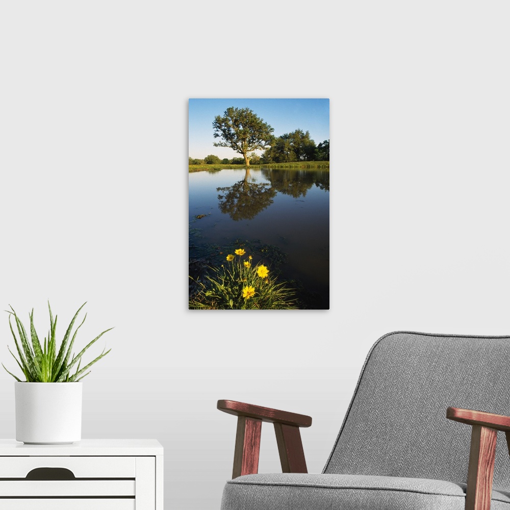 A modern room featuring Trees And Flowers Around Pond