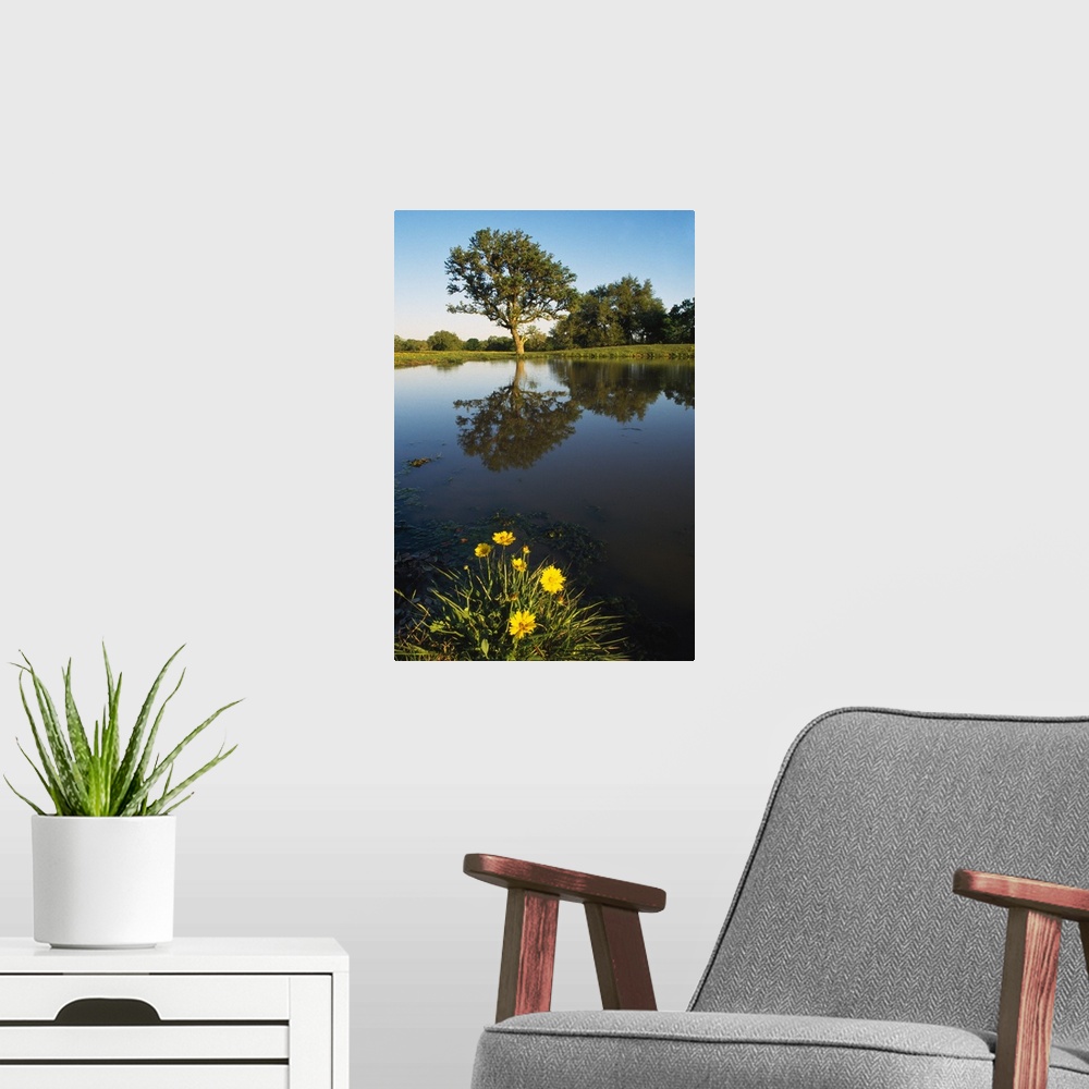 A modern room featuring Trees And Flowers Around Pond