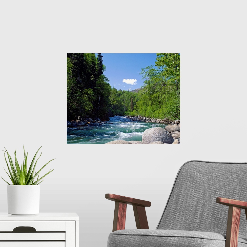 A modern room featuring A boulder filled stream courses through the wilderness surrounded by trees in this landscape phot...