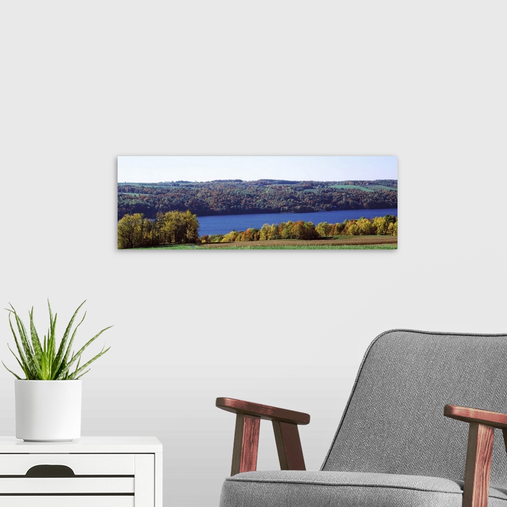 A modern room featuring Trees at the lakeside, Owasco Lake, Finger Lakes, New York State
