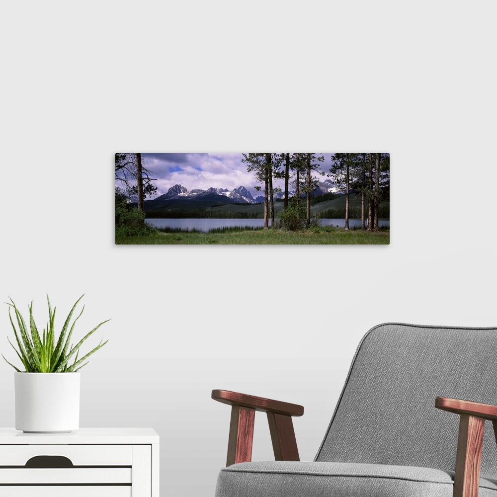 A modern room featuring Trees at the lakeside with mountains in the background Little Redfish Lake Sawtooth National Recr...