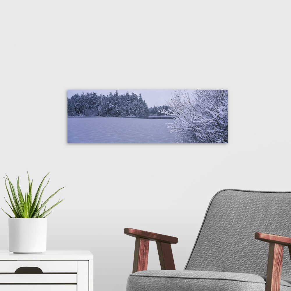A modern room featuring Trees covered with snow along a frozen lake, Heart Lake, Fidalgo Island, Skagit County, Washingto...