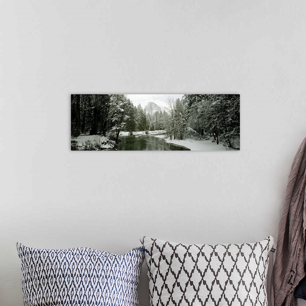 A bohemian room featuring Trees covered with snow, Half Dome, Yosemite National Park, Mariposa County, California