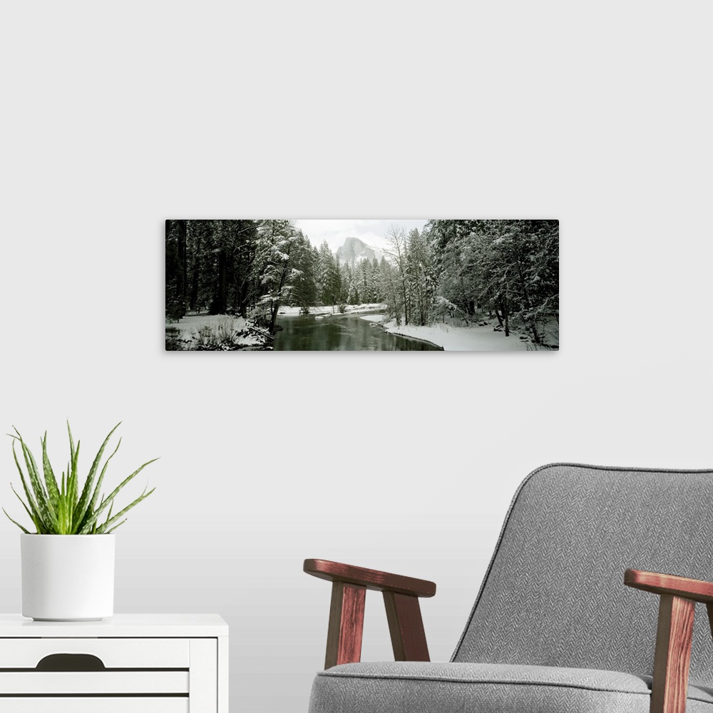 A modern room featuring Trees covered with snow, Half Dome, Yosemite National Park, Mariposa County, California
