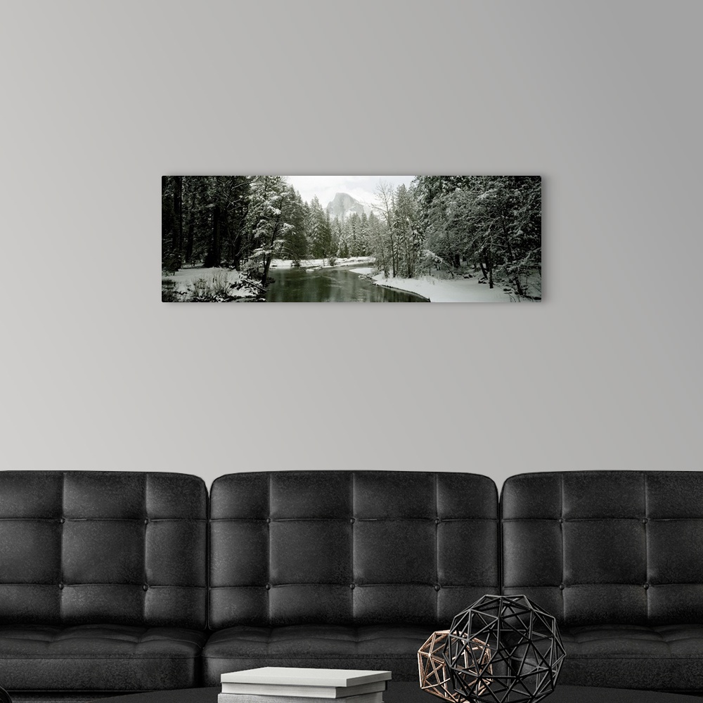 A modern room featuring Trees covered with snow, Half Dome, Yosemite National Park, Mariposa County, California