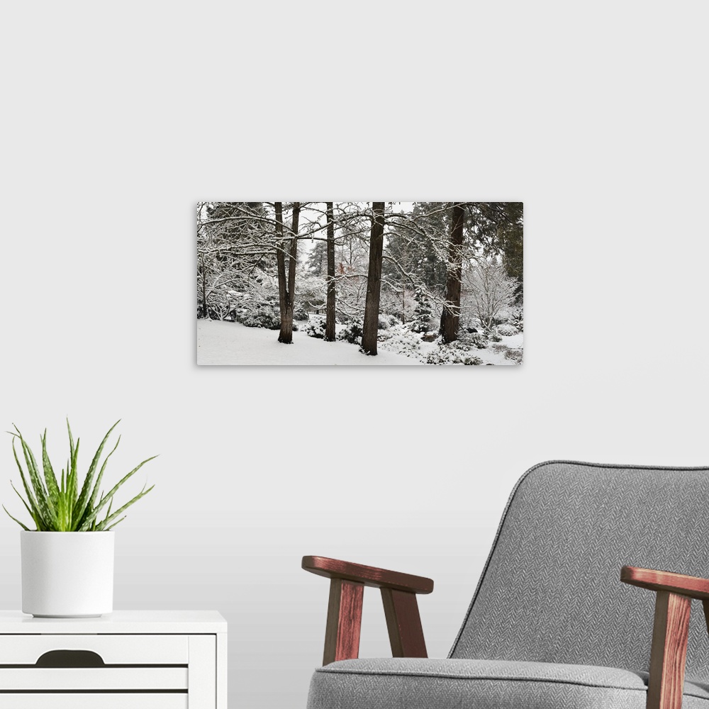 A modern room featuring Giant landscape photograph of snow covered trees and shrubs at the edge of a forest in Ashland, J...