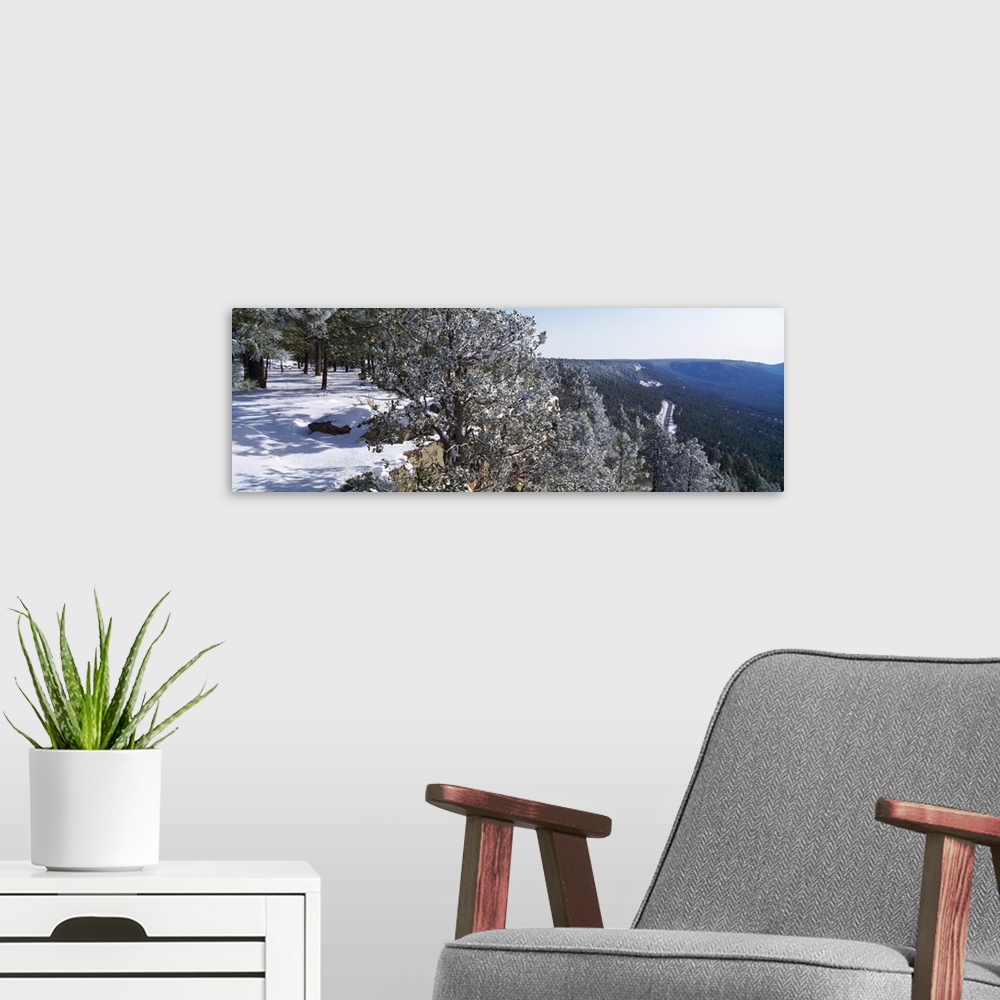 A modern room featuring Trees covered with snow, Mogollon Rim, Tonto National Forest, Zane Grey Country, Arizona