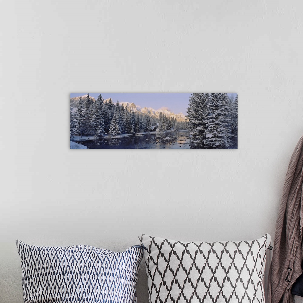 A bohemian room featuring Trees covered with snow, Policemans Creek, Canmore, Alberta, Canada