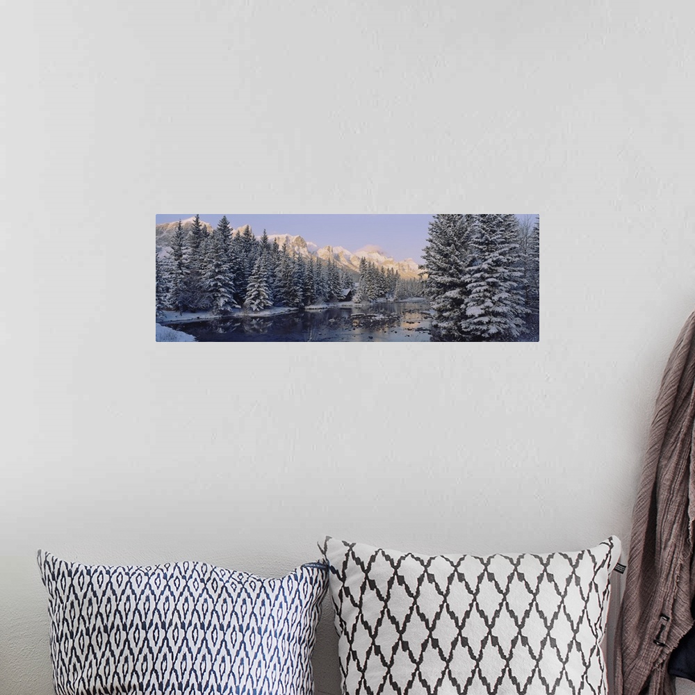A bohemian room featuring Trees covered with snow, Policemans Creek, Canmore, Alberta, Canada