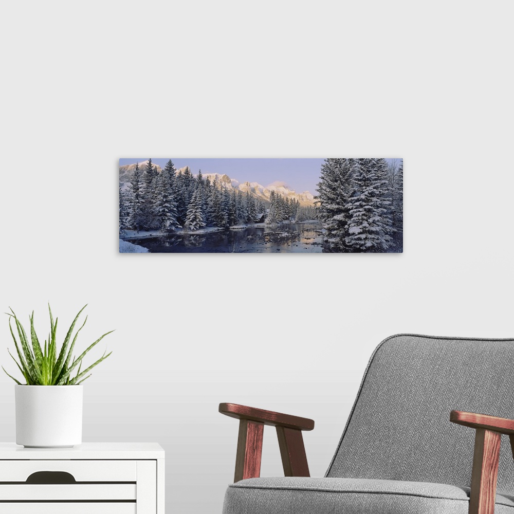 A modern room featuring Trees covered with snow, Policemans Creek, Canmore, Alberta, Canada