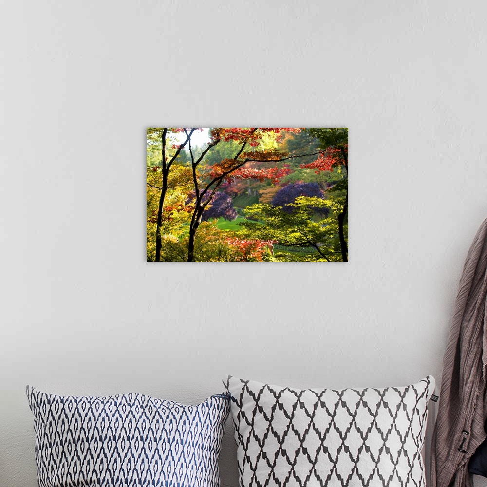 A bohemian room featuring Large canvas photo of brightly colored fall foliage with a garden in the distance.