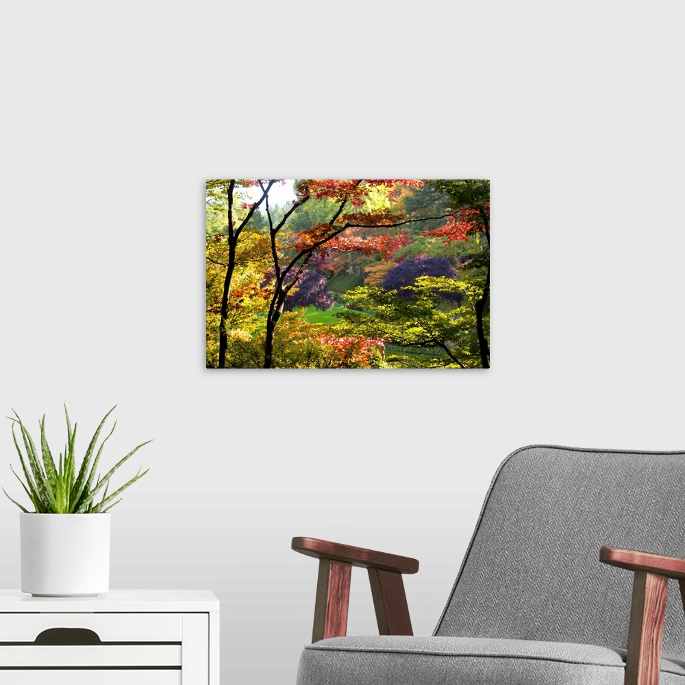 A modern room featuring Large canvas photo of brightly colored fall foliage with a garden in the distance.