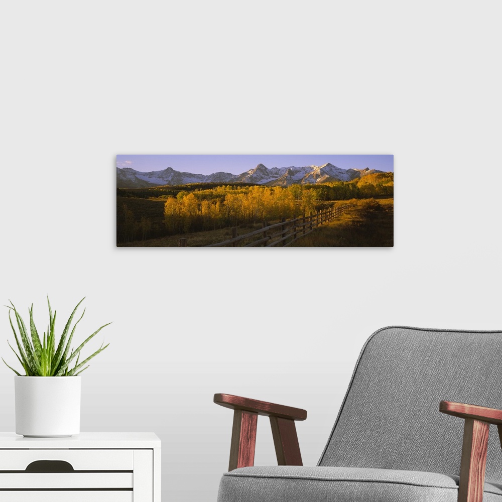 A modern room featuring Wide angle photograph on a large canvas of a wooden fence running through a golden fall landscape...