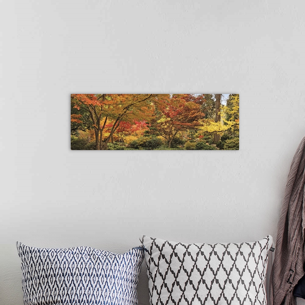 A bohemian room featuring Big panoramic canvas print of autumn colored trees.