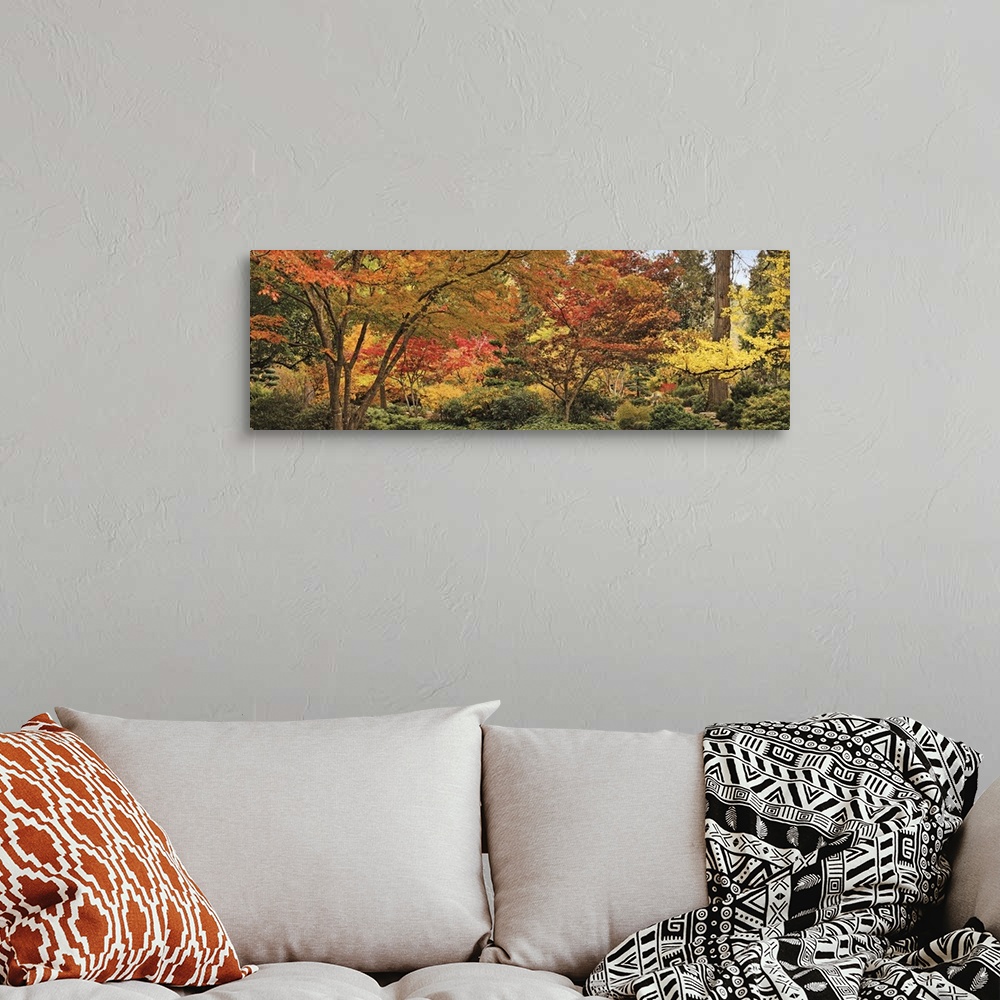 A bohemian room featuring Big panoramic canvas print of autumn colored trees.