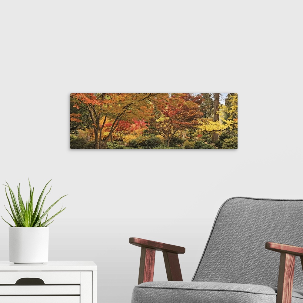 A modern room featuring Big panoramic canvas print of autumn colored trees.